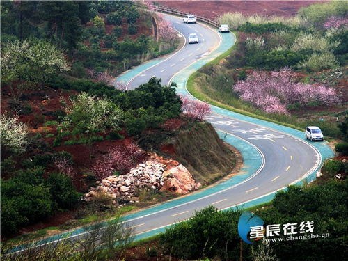 (繁盛农场)繁盛农杨码头：蓬勃发展的乡村特色旅游景点