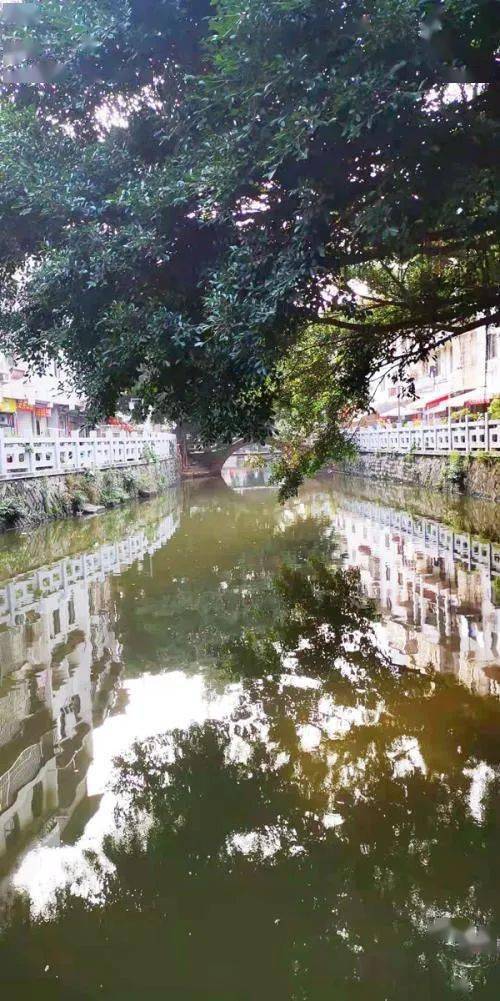 金牛网155755水心论坛香港|未来趋势解释落实_复古款.3.406