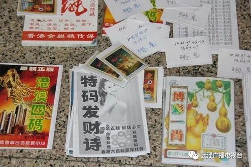 红姐香港特马免费资料|综合研究解释落实_战术版.3.686